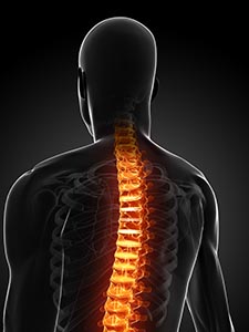 Ern&auml;hrungsberatung